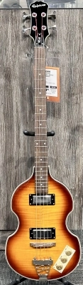 Epiphone - EBVIVSCH